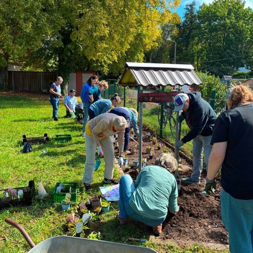 Große Resonanz bei Wildstauden-Workshop